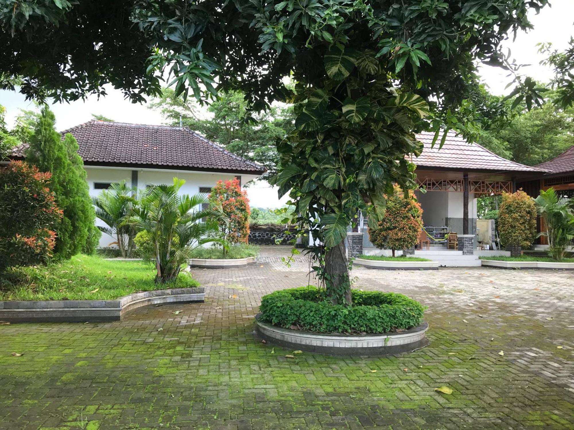 Pohon Purba Resort & Restaurant Labuhan Pandan Buitenkant foto