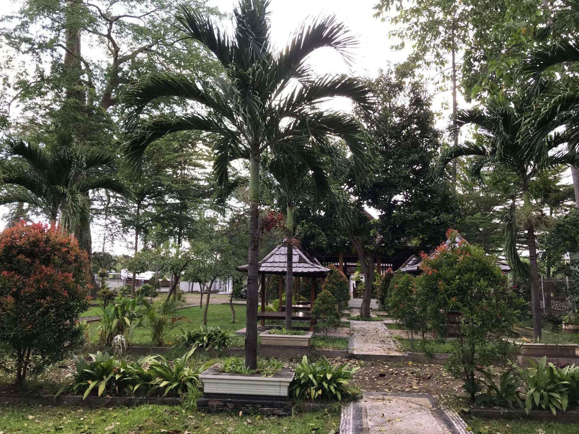 Pohon Purba Resort & Restaurant Labuhan Pandan Buitenkant foto