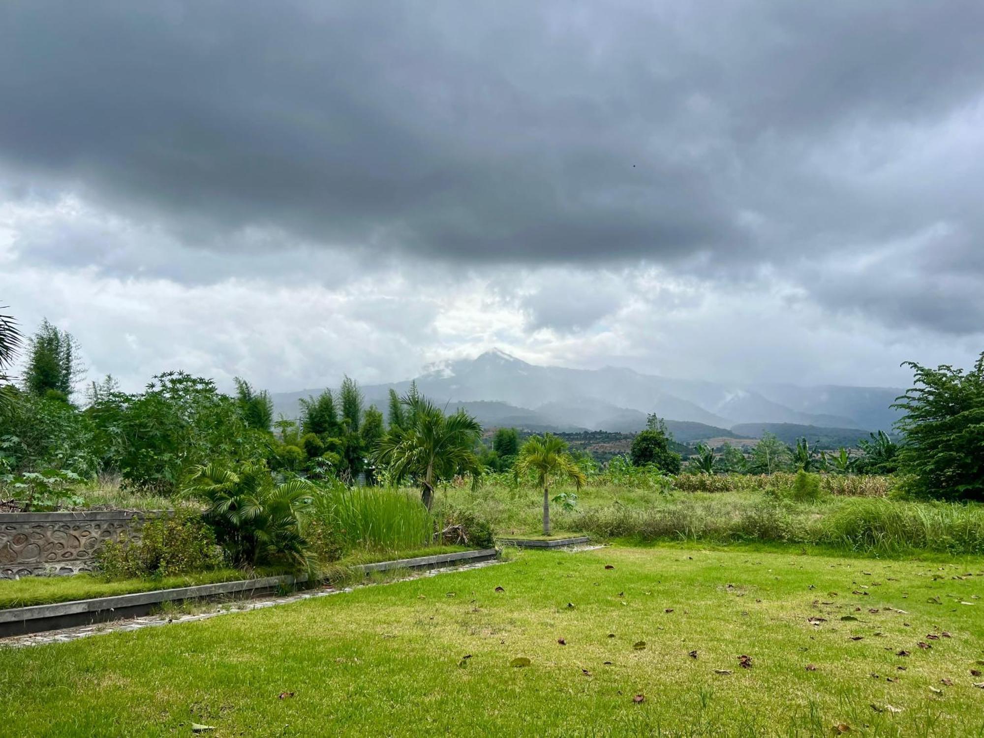 Pohon Purba Resort & Restaurant Labuhan Pandan Buitenkant foto